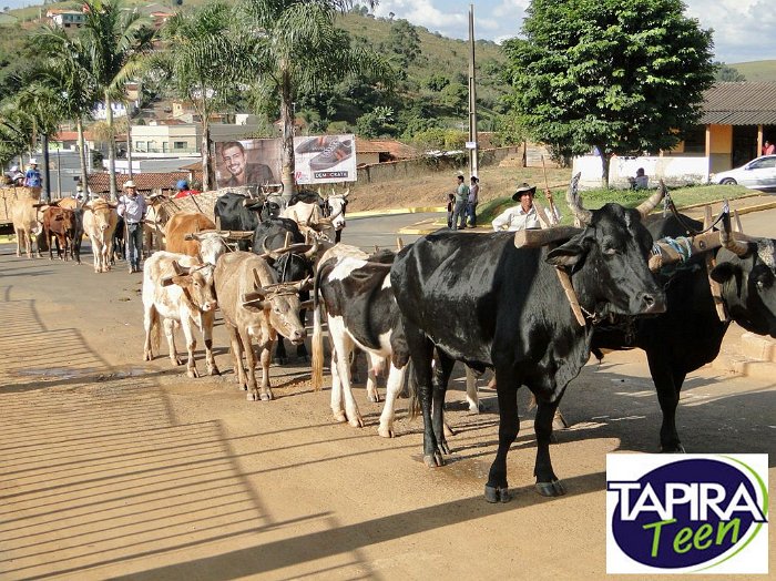 Encontro_de_Boi_de_Tapira_006