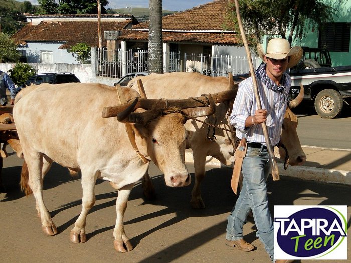 Encontro_de_Boi_de_Tapira_011