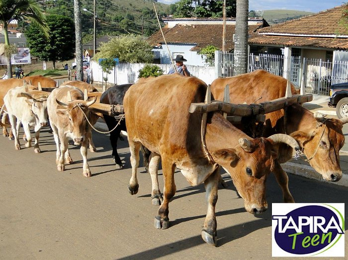 Encontro_de_Boi_de_Tapira_015