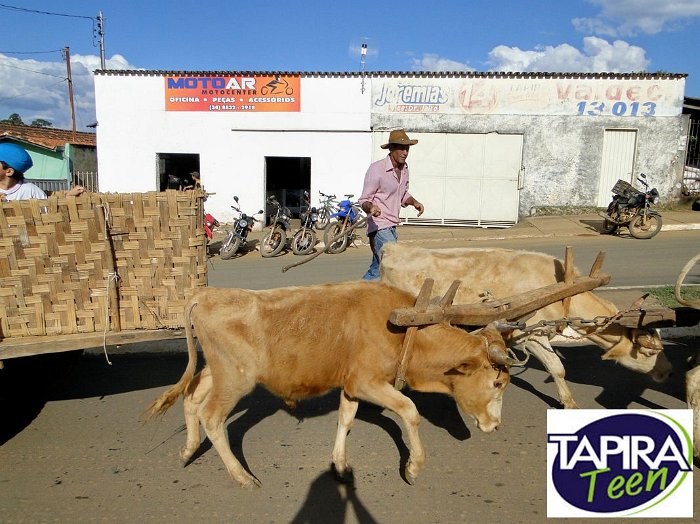 Encontro_de_Boi_de_Tapira_023