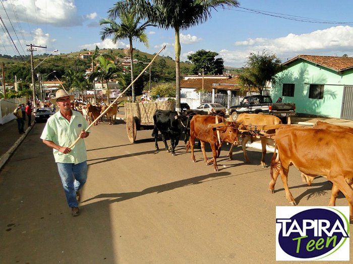 Encontro_de_Boi_de_Tapira_027