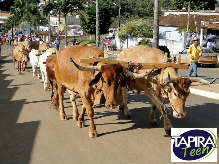 Encontro_de_Boi_de_Tapira_029