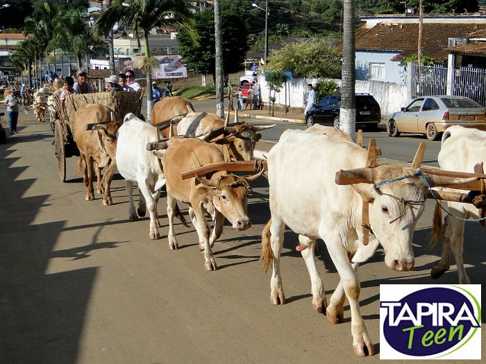 Encontro_de_Boi_de_Tapira_030