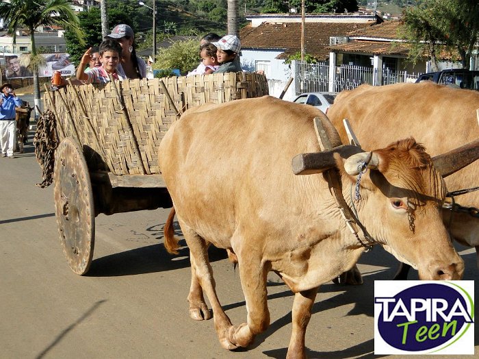 Encontro_de_Boi_de_Tapira_032