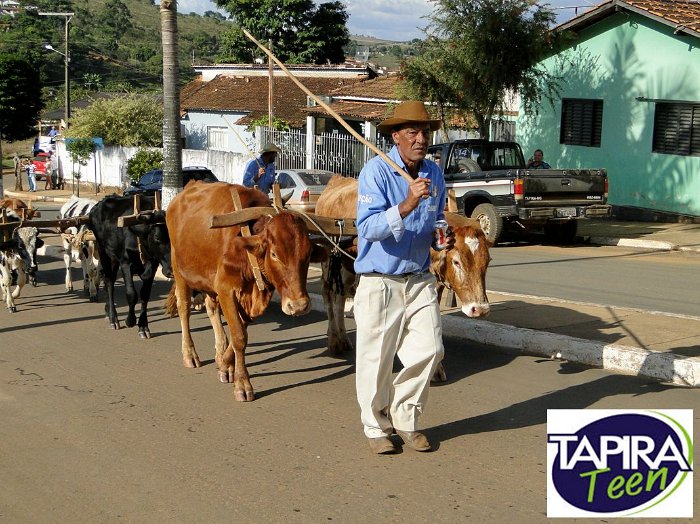 Encontro_de_Boi_de_Tapira_033