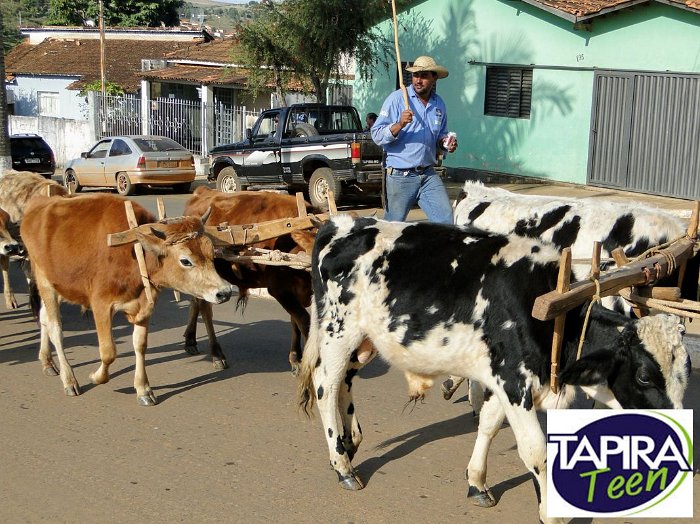 Encontro_de_Boi_de_Tapira_034