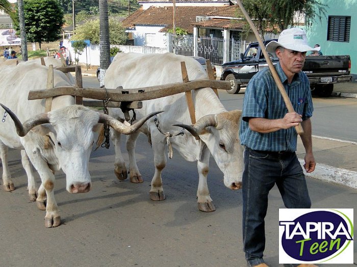 Encontro_de_Boi_de_Tapira_036