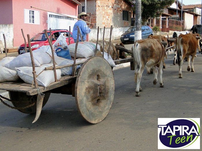 Encontro_de_Boi_de_Tapira_038