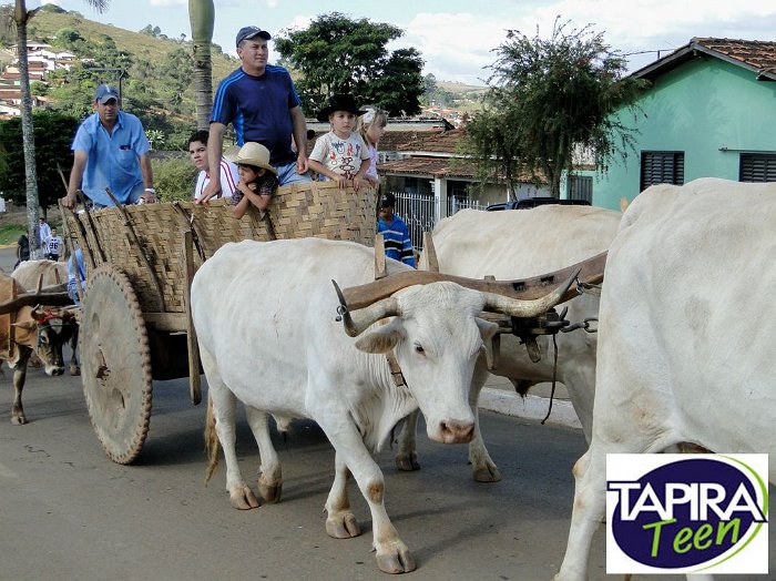 Encontro_de_Boi_de_Tapira_041