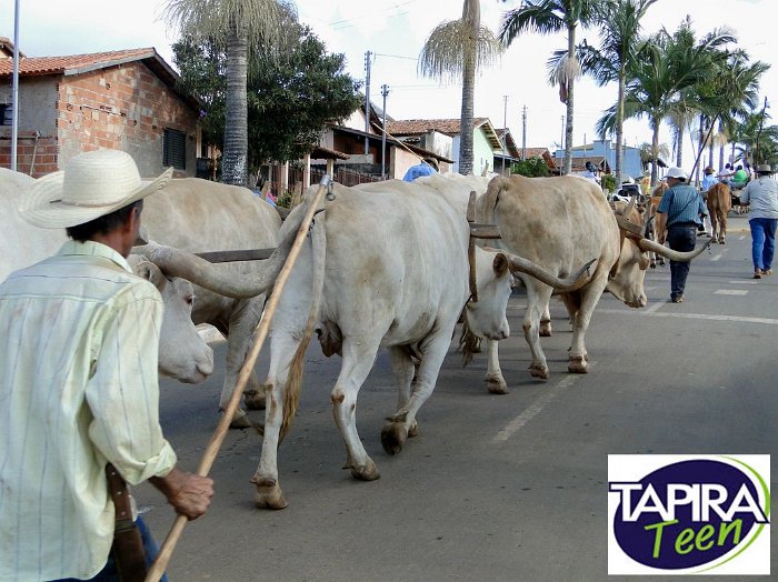 Encontro_de_Boi_de_Tapira_042