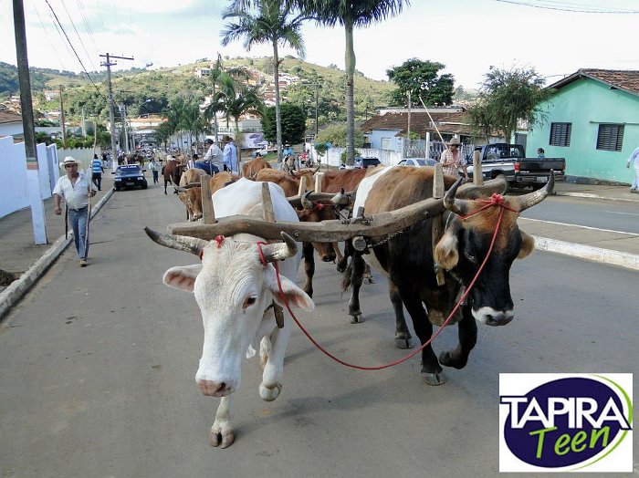 Encontro_de_Boi_de_Tapira_045