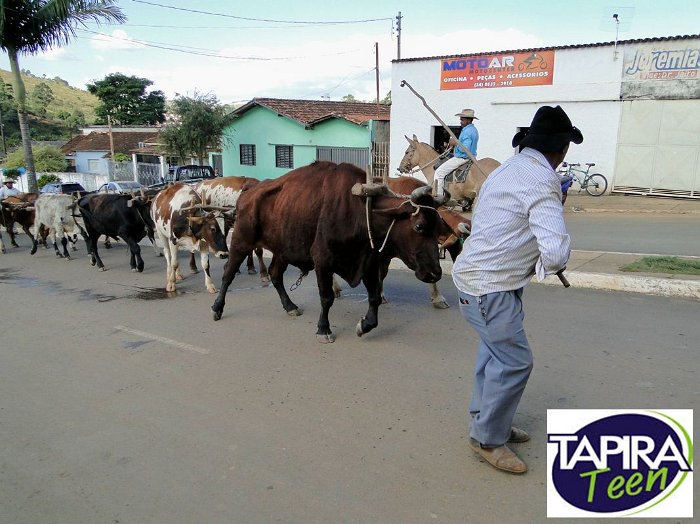 Encontro_de_Boi_de_Tapira_050