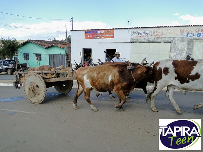 Encontro_de_Boi_de_Tapira_052