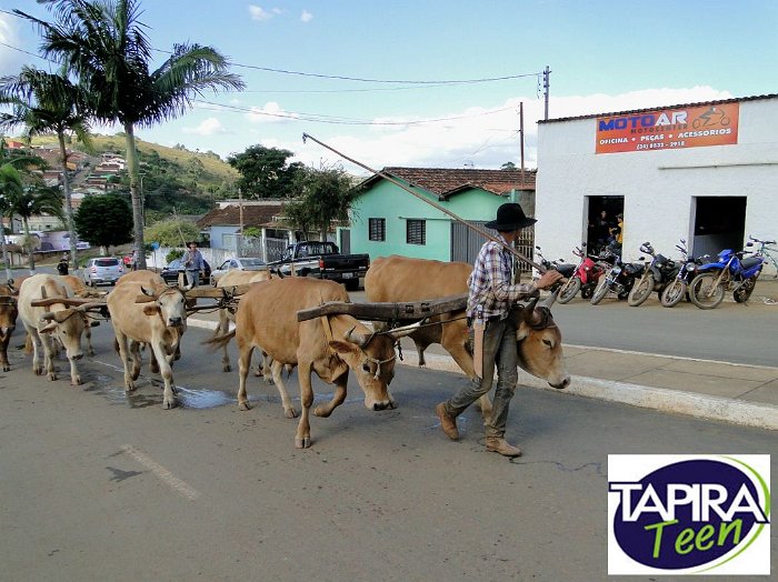 Encontro_de_Boi_de_Tapira_054