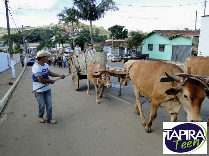 Encontro_de_Boi_de_Tapira_057