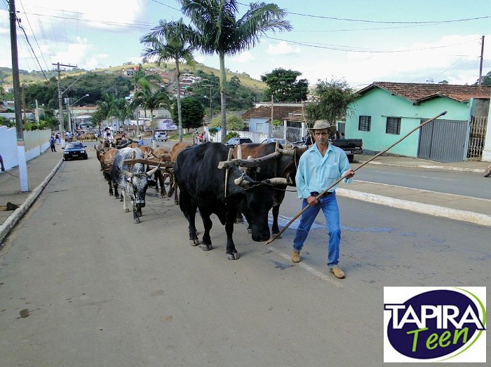 Encontro_de_Boi_de_Tapira_060