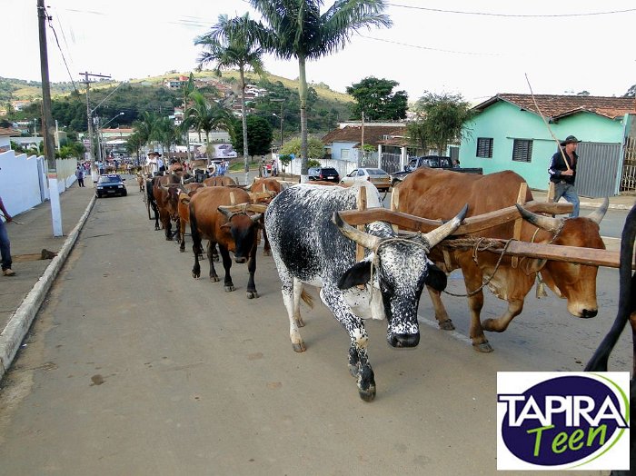 Encontro_de_Boi_de_Tapira_061