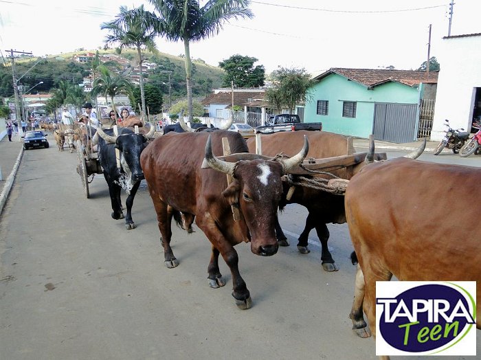 Encontro_de_Boi_de_Tapira_063