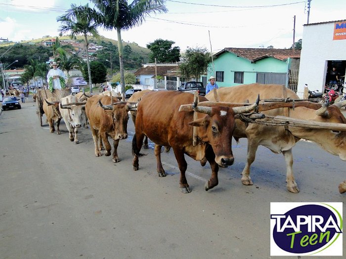 Encontro_de_Boi_de_Tapira_068