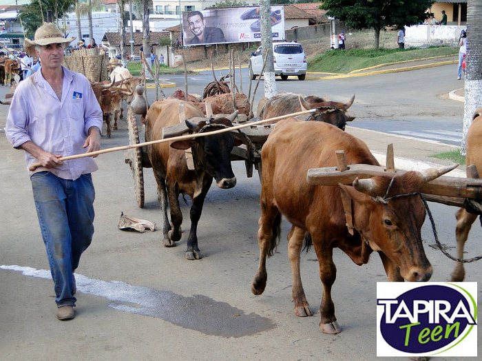 Encontro_de_Boi_de_Tapira_073