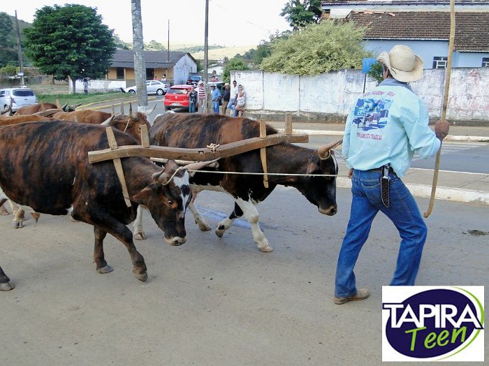 Encontro_de_Boi_de_Tapira_079