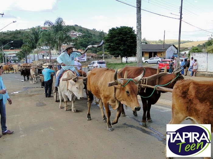 Encontro_de_Boi_de_Tapira_080