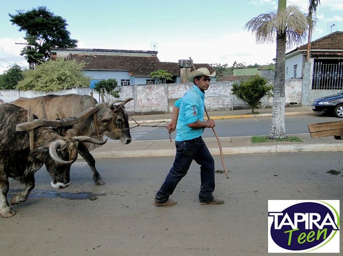 Encontro_de_Boi_de_Tapira_084
