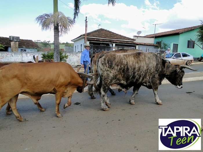 Encontro_de_Boi_de_Tapira_085
