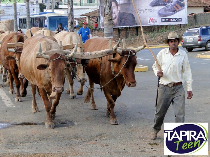 Encontro_de_Boi_de_Tapira_087