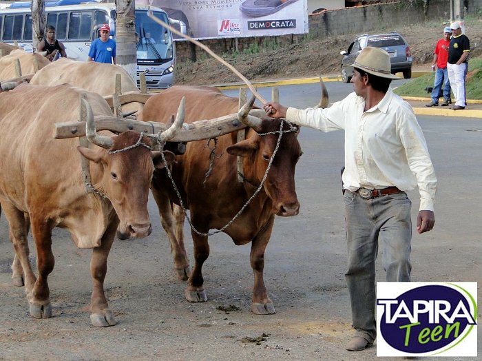Encontro_de_Boi_de_Tapira_088