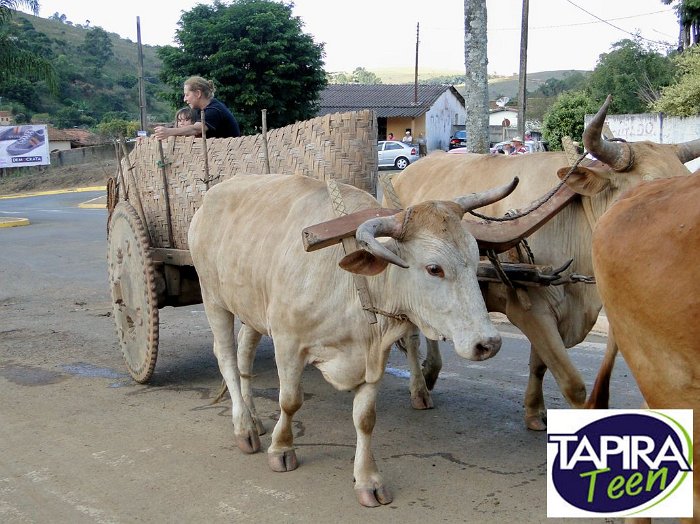 Encontro_de_Boi_de_Tapira_090