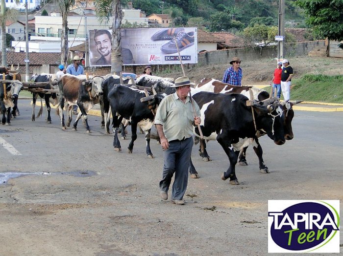 Encontro_de_Boi_de_Tapira_091