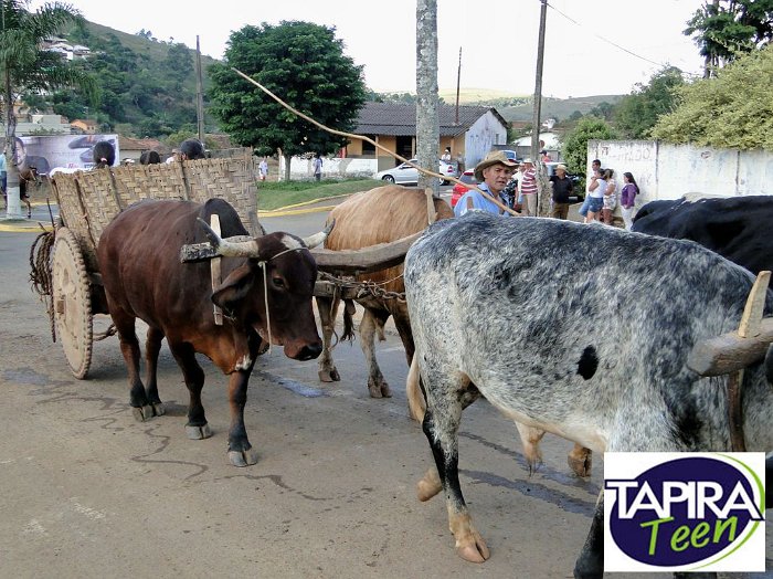 Encontro_de_Boi_de_Tapira_096