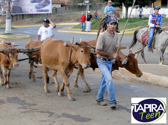Encontro_de_Boi_de_Tapira_097