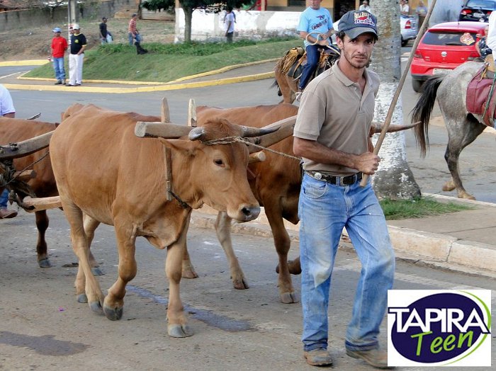 Encontro_de_Boi_de_Tapira_098