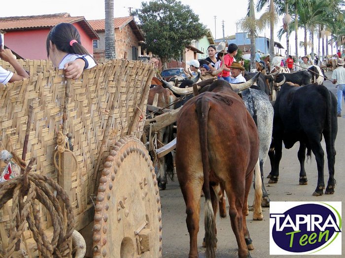 Encontro_de_Boi_de_Tapira_102