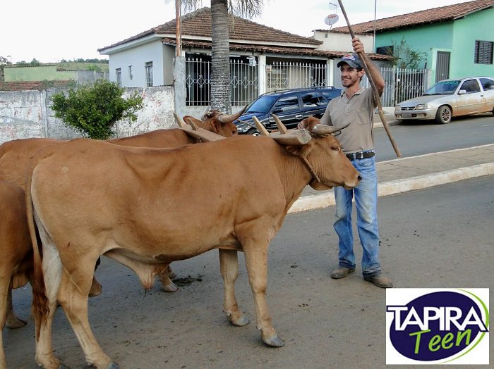 Encontro_de_Boi_de_Tapira_103