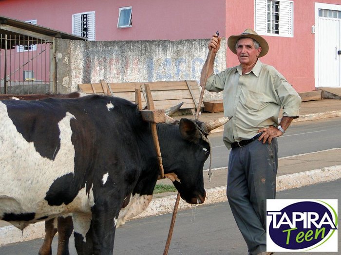 Encontro_de_Boi_de_Tapira_104