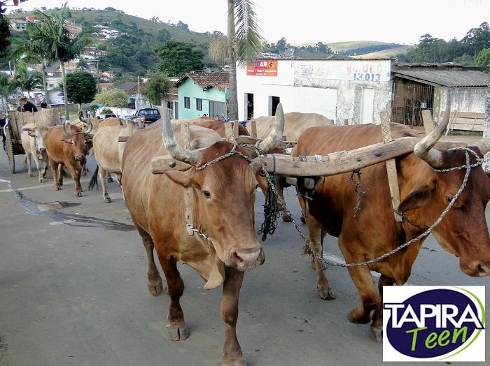 Encontro_de_Boi_de_Tapira_107