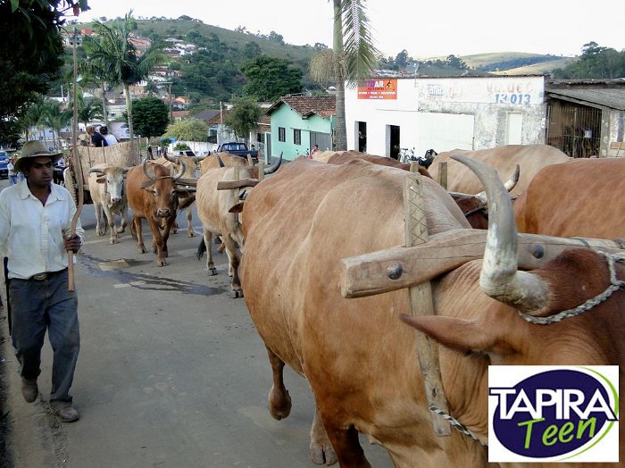 Encontro_de_Boi_de_Tapira_108