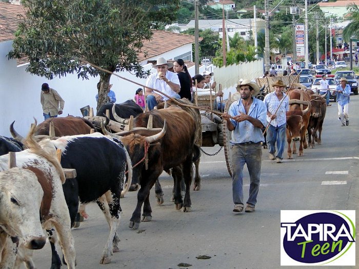 Encontro_de_Boi_de_Tapira_111