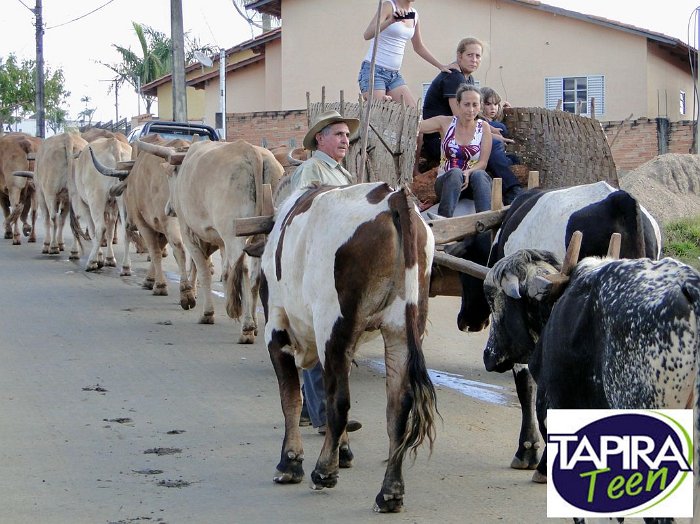 Encontro_de_Boi_de_Tapira_114