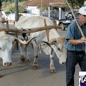 Encontro_de_Boi_de_Tapira_036