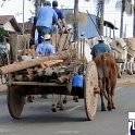 Encontro_de_Boi_de_Tapira_048