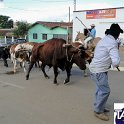 Encontro_de_Boi_de_Tapira_050