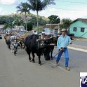 Encontro_de_Boi_de_Tapira_060