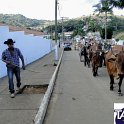 Encontro_de_Boi_de_Tapira_062