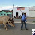 Encontro_de_Boi_de_Tapira_067