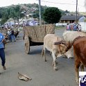 Encontro_de_Boi_de_Tapira_075