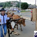 Encontro_de_Boi_de_Tapira_076